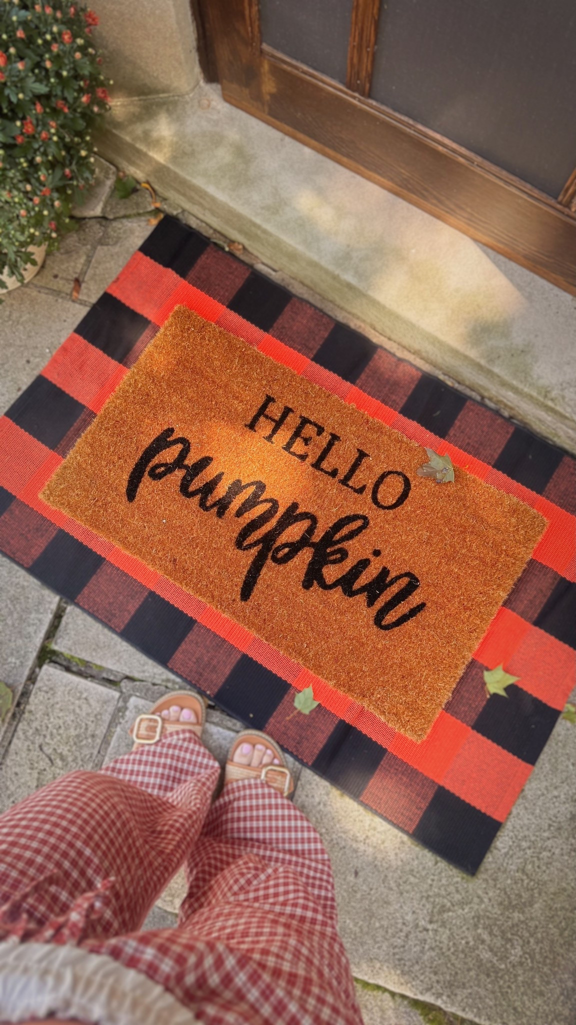$31 for both rugs 🎃