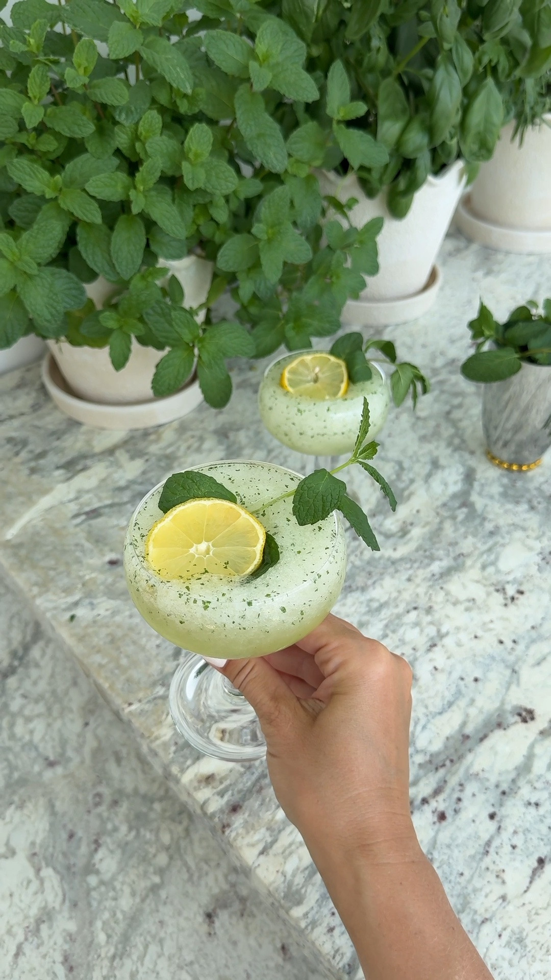 frozen hugo spritz 🍋

#LTKSeasonal #LTKfoodie #LTKHome