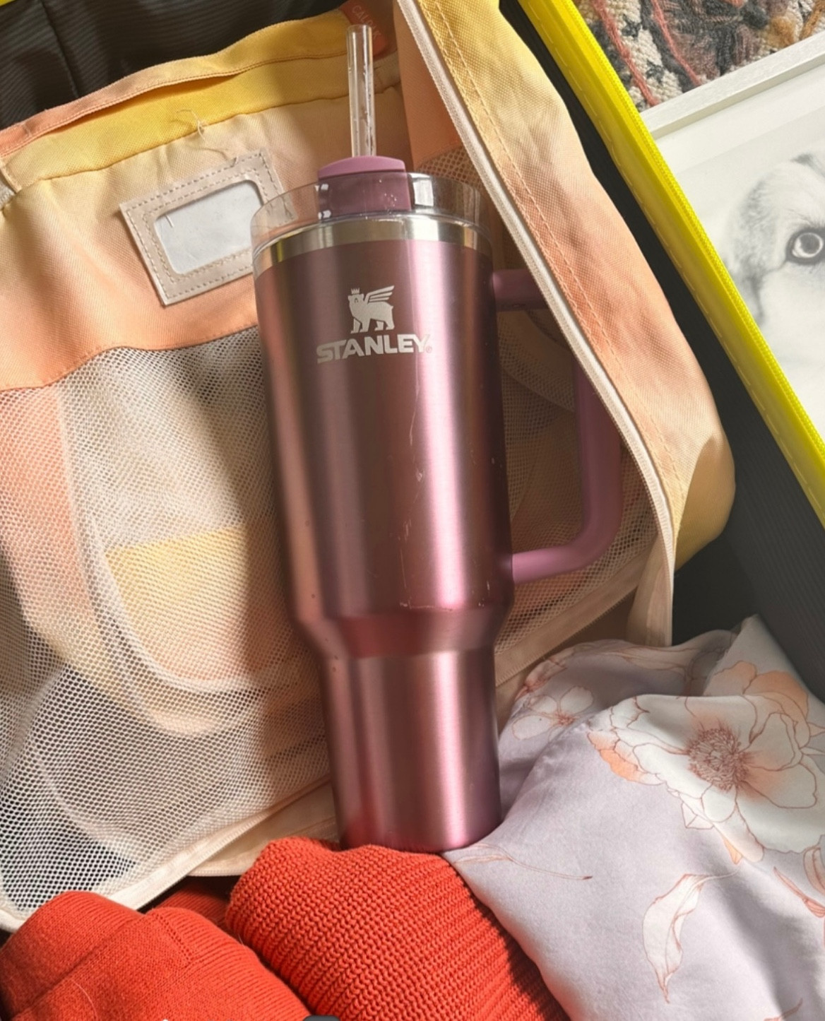 New Stanley Tumbler in Primrose Glow. This one is the 40 oz

#LTKhome #LTKfindsunder50 #LTKGiftGuide