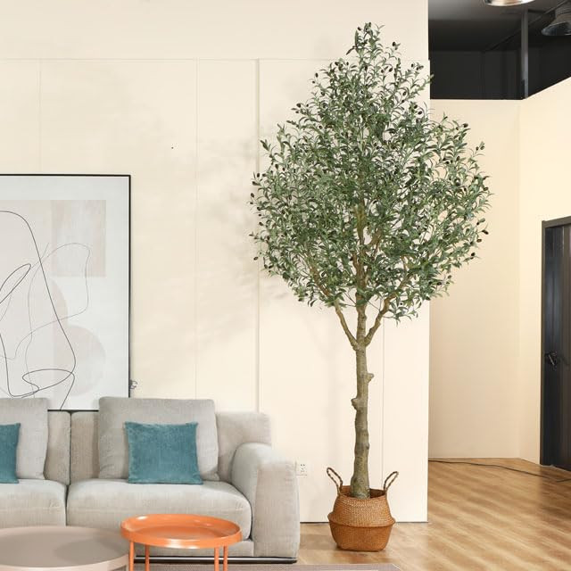 Visit the MOSADE Store | Amazon (US)