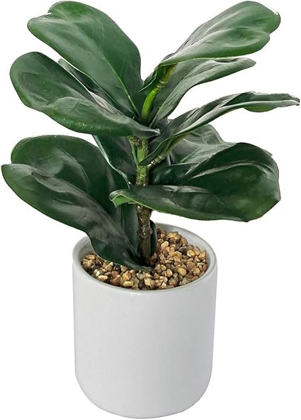 BESAMENATURE Little Artificial Fiddle Leaf Fig Tree, Tabletop Ficus Lyrata for Home Decor, 8.5-in... | Amazon (US)