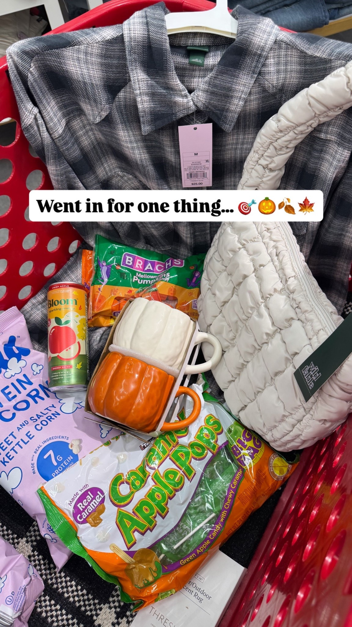 Does this happen to anyone else?! I want all the fall things… fall candy, fall mugs, fall decor and flannels! I got a medium in the flannel. 
Target finds
Target run 


#LTKFindsUnder50 #LTKSeasonal #LTKStyleTip