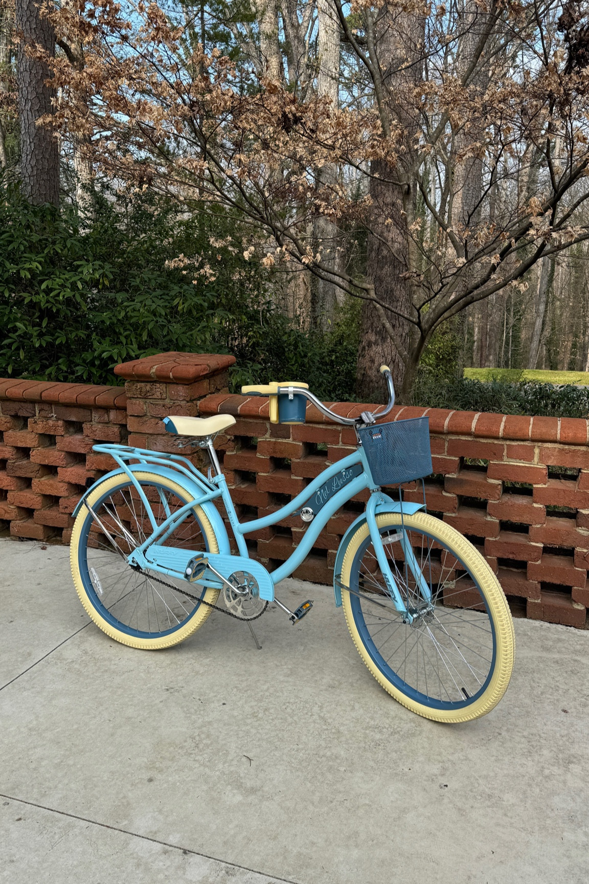 The cutest retro bike I’ve ever seen 🩵 and under $200!

#LTKSaleAlert #LTKFamily #LTKGiftGuide