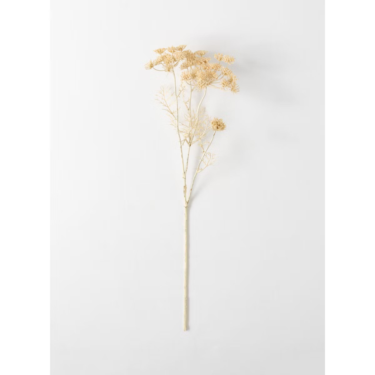 Sullivans Artificial Queen Anne'S Lace Stem 29"H Off-White | Target