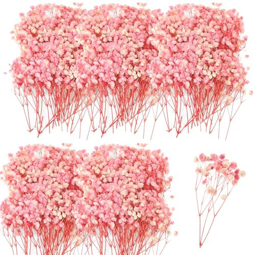 Fumete 200 Pcs Mini Dried Babys Breath Flowers Pink 5600+ Babys Breath Bulk Bouquet Natural Gypsophila for Wedding Flower Wreaths Baby Shower Bridal Shower Home Vase Decor Card Party DIY, 2-4 Inch | Amazon (US)