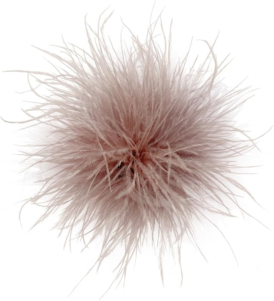 Dainty Feather Flower Large Brooch Pin for Women Men Elegant Oversized Floral Lapel Pins Shawl Dr... | Amazon (US)