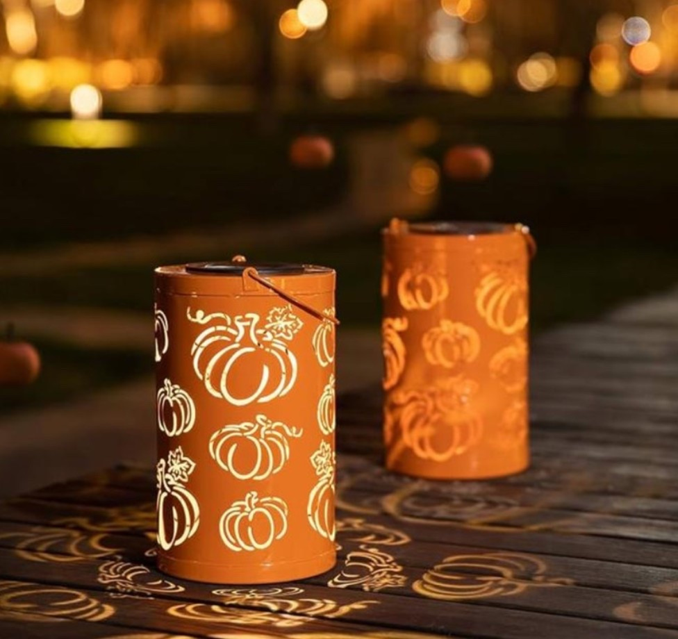 Fall solar lights 💡 🌙

#LTKselfcare #LTKHome #LTKdayinmylife