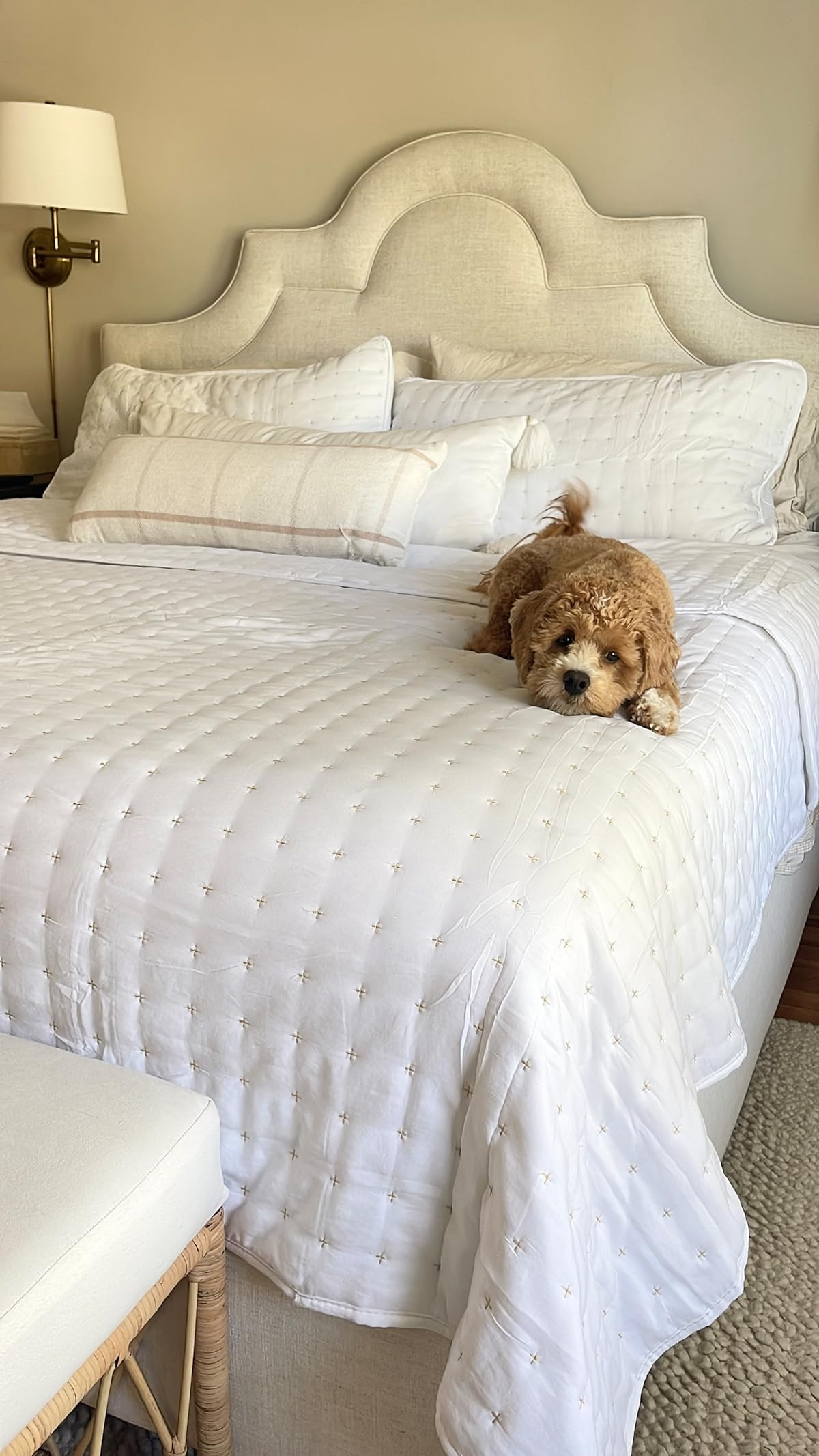 Megan DiMaggio Design | Amazon (US)