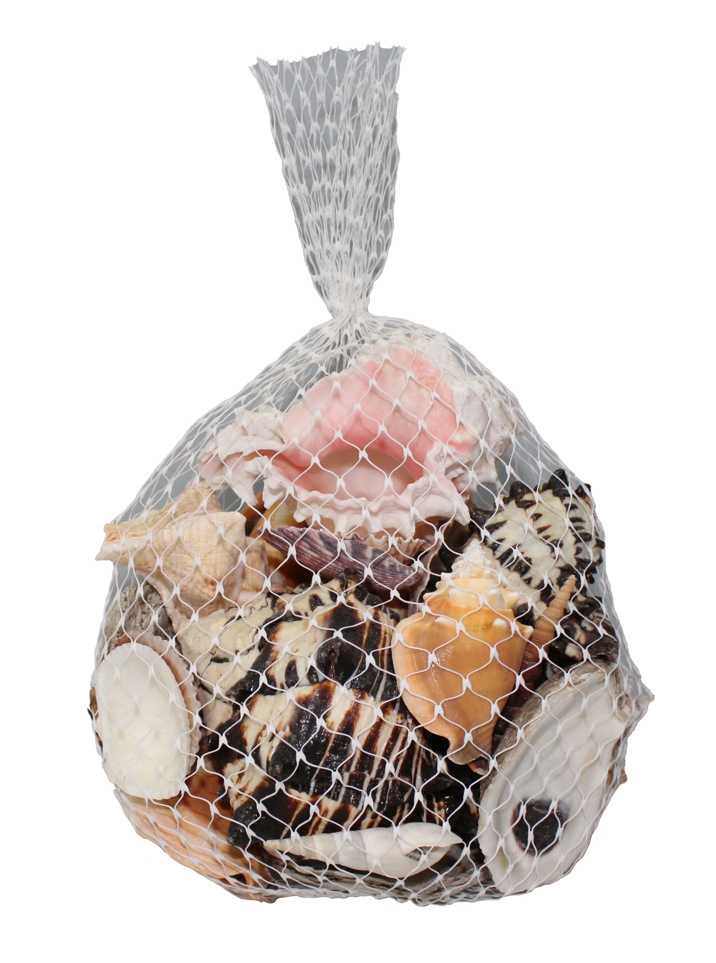 A Mix Of Seashells In Assorted Sizes | Walmart (US)