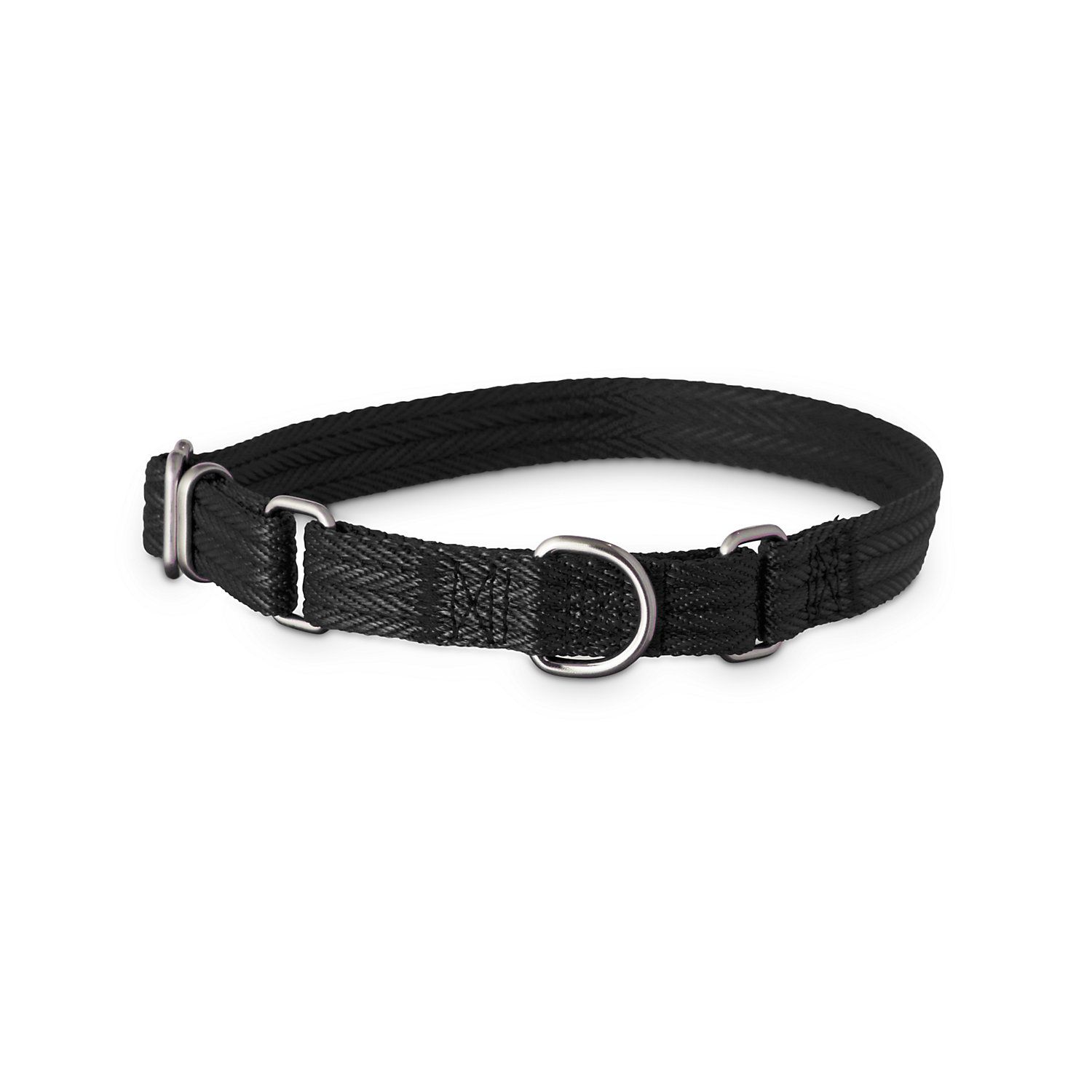 Good2Go Black Martingale Dog Collar | PETCO Animal Supplies