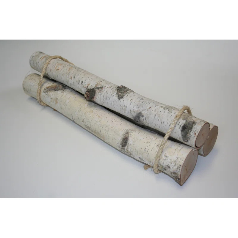 Wilson Roped Bundle of Birch Logs | Wayfair North America