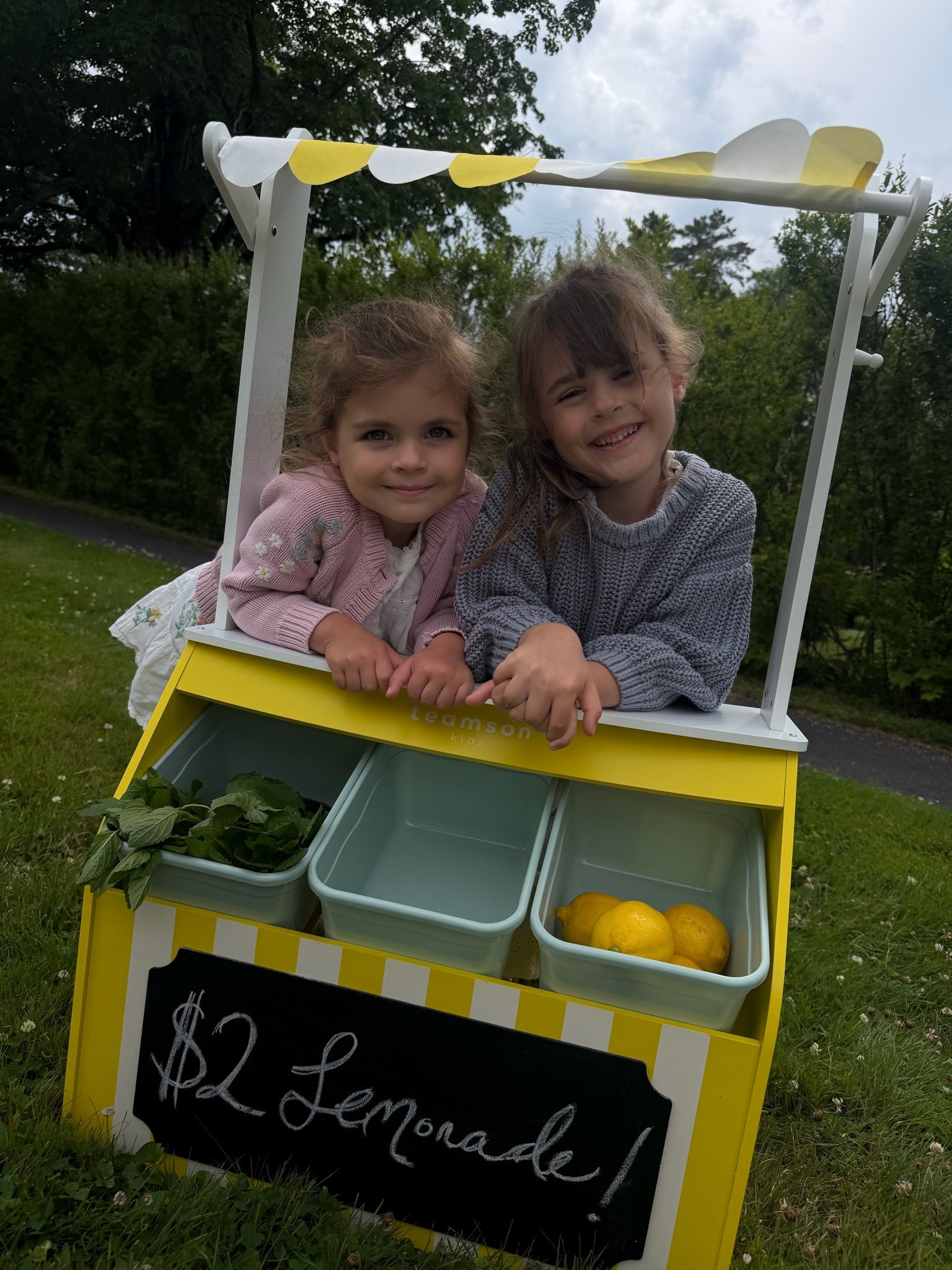 Lemonade stand 🍋

#LTKmomlife