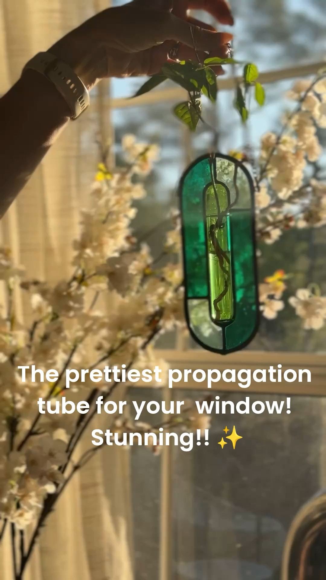 In love with this Amazon find. Put in your window and grow something beautiful! Great colors  

#LTKHome #LTKmorningroutine #LTKSaleAlert