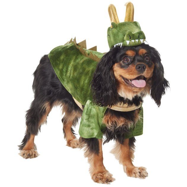 MARVEL 's Loki Alligator Dog & Cat Costume, XXX-Large - Chewy.com | Chewy.com