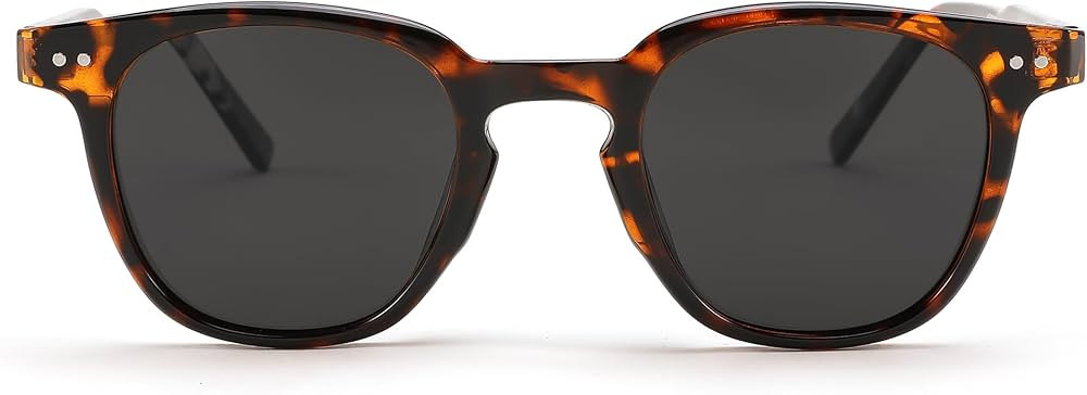 FEISEDY Classic Polarized Sunglasses Retro Round Sunglasses for Women Men Trendy Shades B0002 | Amazon (US)