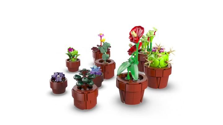 LEGO Icons Tiny Plants Building Set for Flower-Lovers, Cactus Décor Mother's Day Gift Idea, Carn... | Walmart (US)