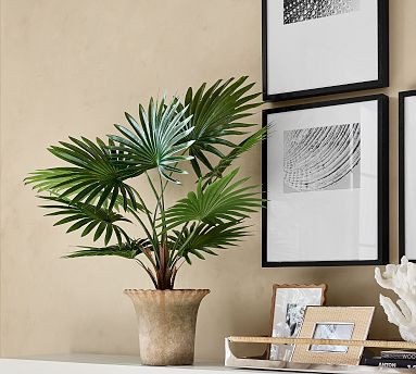 Faux Potted Fan Palm | Pottery Barn (US)