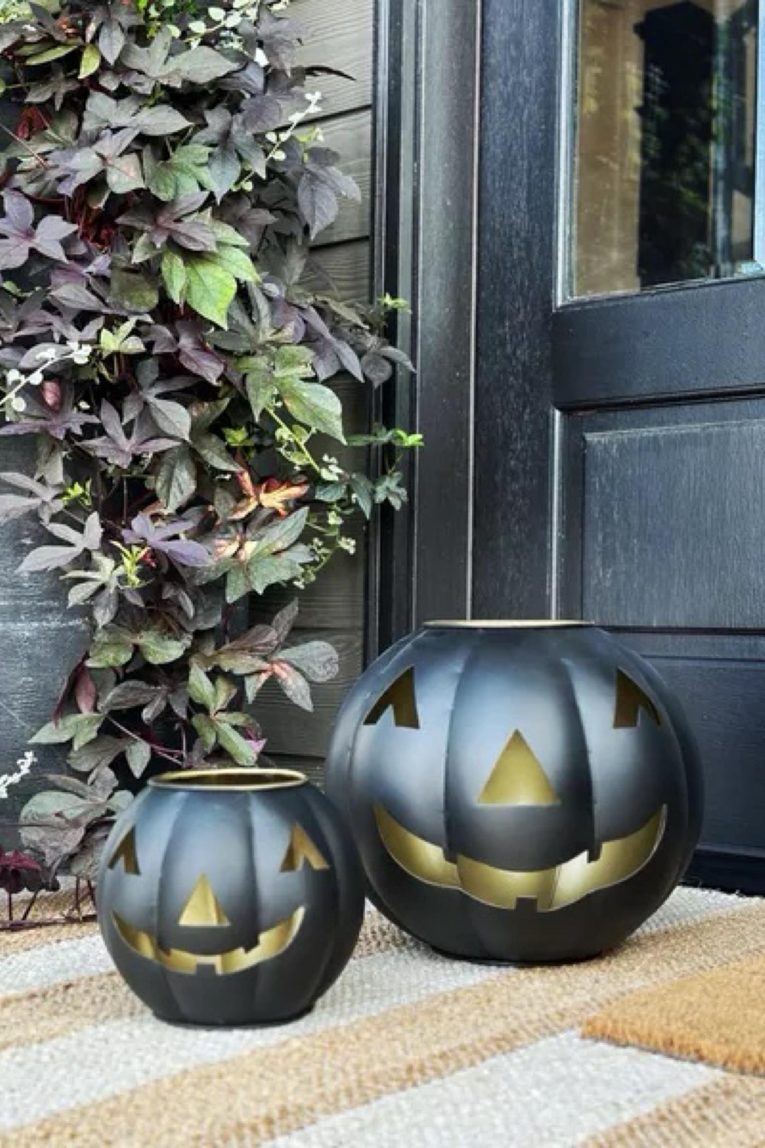 Pumpkins are essential for my front porch decor!

pumpkin decor  front porch decor  seasonal decor  fall styling  home favorites  metal pumpkins  outdoor decor  ourpnwhome

#LTKHome #LTKSeasonal