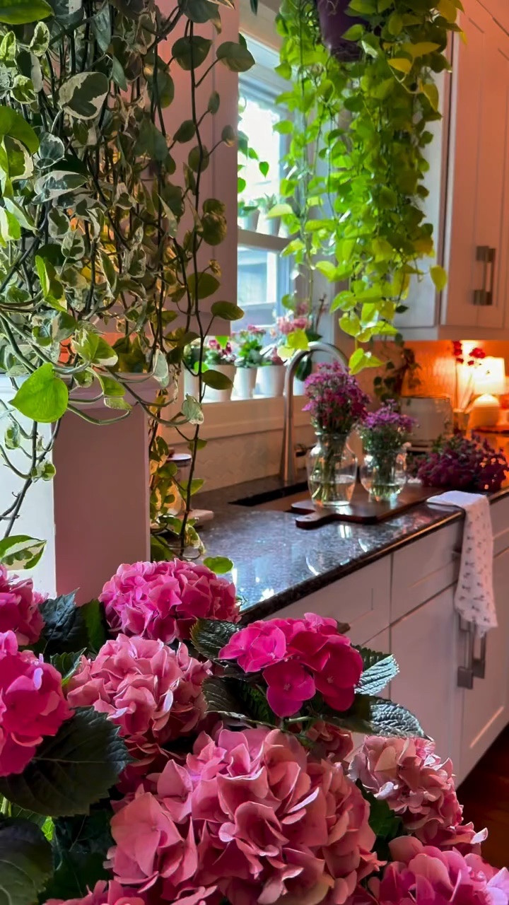 Slow day 🥰

#LTKHome
