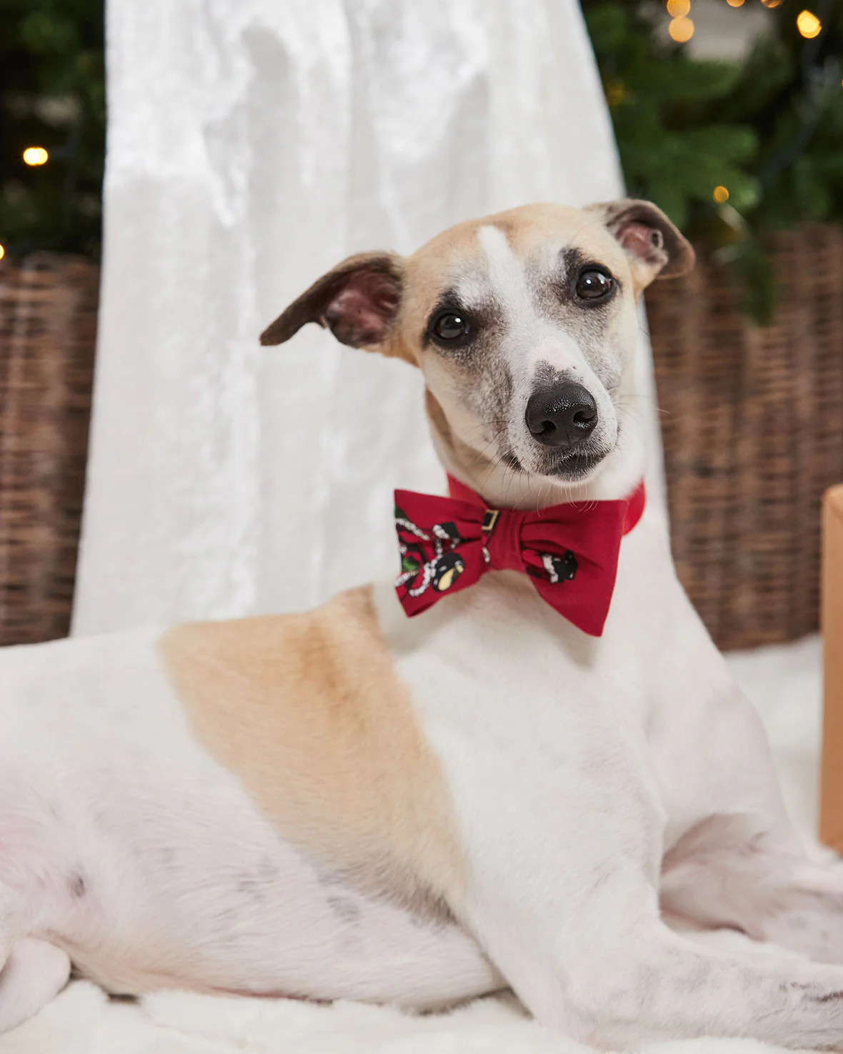 Pets Christmas Santa Snowball Print Bow-Tie | Chelsea Peers NYC