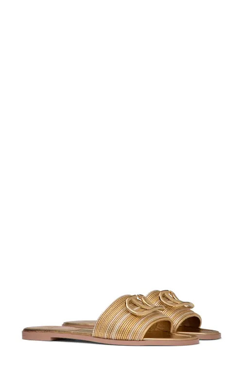 Valentino Garavani VLOGO Signature Slide Sandal in Star Gold Multicolor at Nordstrom, Size 8.5Us | Nordstrom