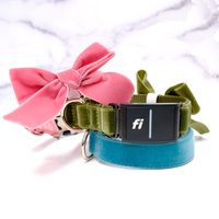 Fi Compatible - Personalized Velvet Dog Collar With Bow Engraved Buckle Series 3/3+ | Etsy (US)