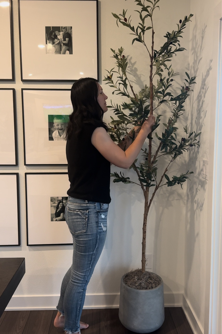 Love this affordable olive tree from Amazon! Such a great sale price! I paired it with my favorite planter.

#LTKStyleTip #LTKSaleAlert #LTKHome