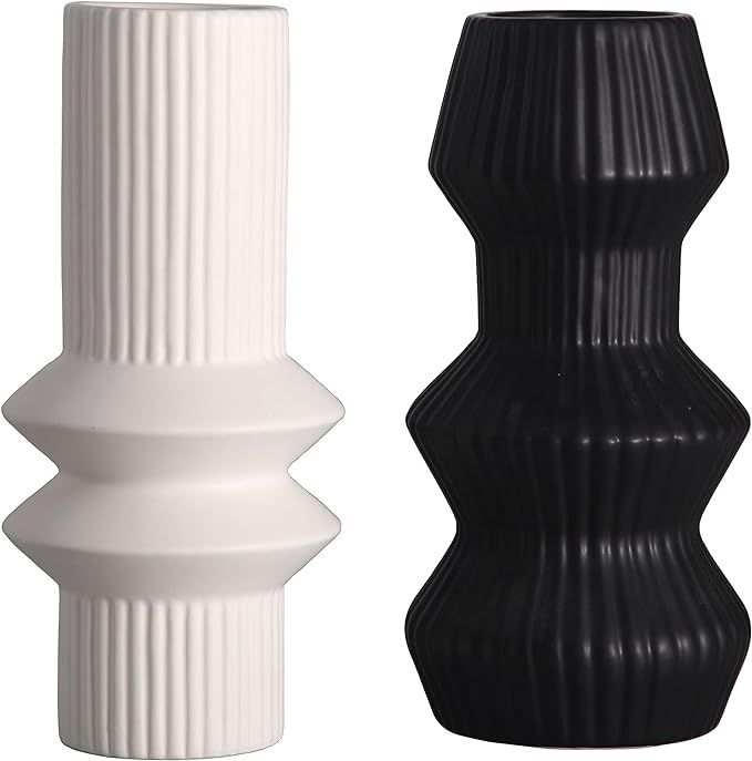 TERESA'S COLLECTIONS Ceramic Modern Vase Set of 2, Black and White Decorative Vase for Home Decor... | Amazon (US)