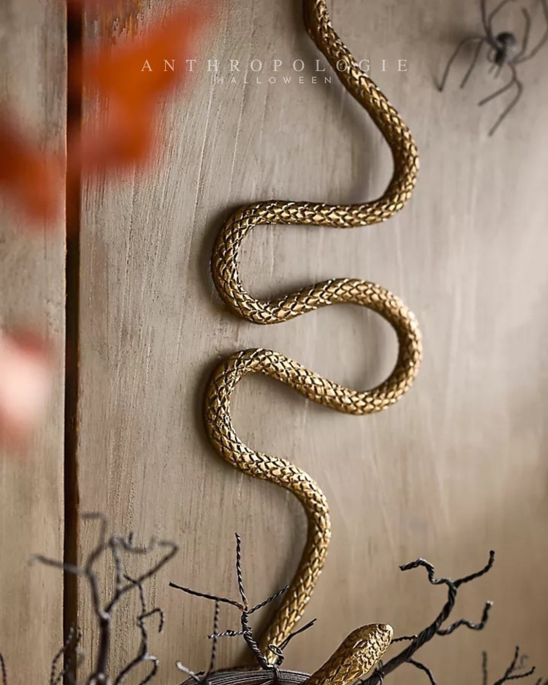 Loving this snake wreath from Anthropologie 

Anthropologie Halloween 
Halloween decor 
Halloween edit 
Chic Halloween

#LTKSeasonal #LTKHome