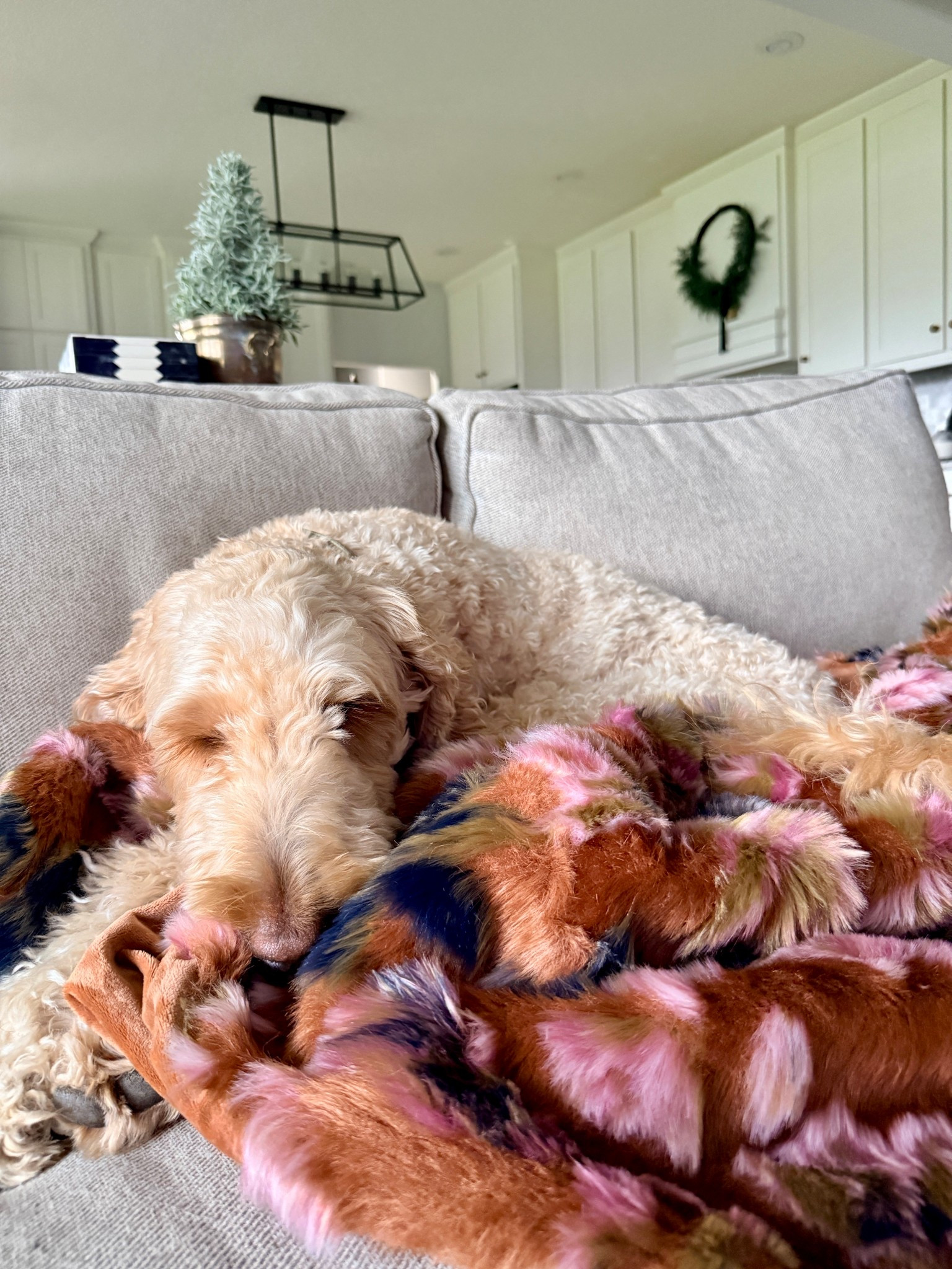 Trying to add a bit more color to our home and this gorgeous faux fur throw is still 30% off! Would be the perfect gift for someone who appreciates beautiful, luxe gifts! 

#LTKHome #LTKSaleAlert #LTKGiftGuide