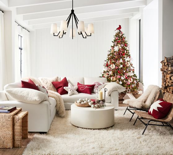 Cozy Teddy Faux Fur Barn Star Pillow Cover | Pottery Barn (US)
