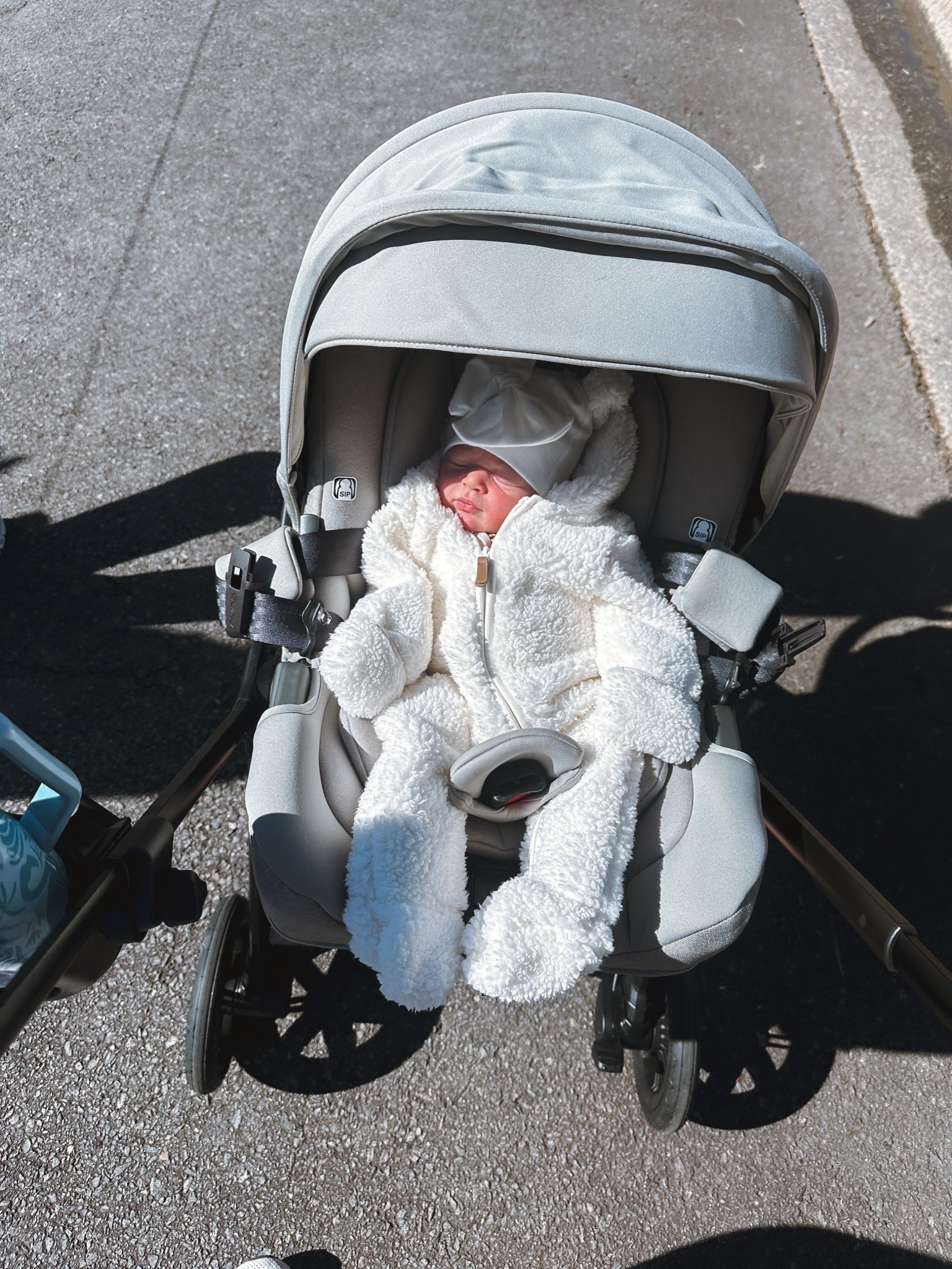 Polar bear baby 😍