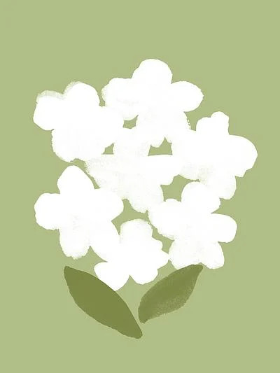 White Hydrangea | Artfully Walls