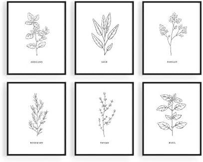 Kitchen Herbs Wall Art Decor for Kitchen - by Haus and Hues | Herb Art Prints and Kitchen Signs W... | Amazon (US)