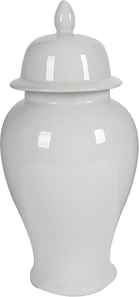 A&B Home Ginger Jar, 9.8 by 20-Inch | Amazon (US)