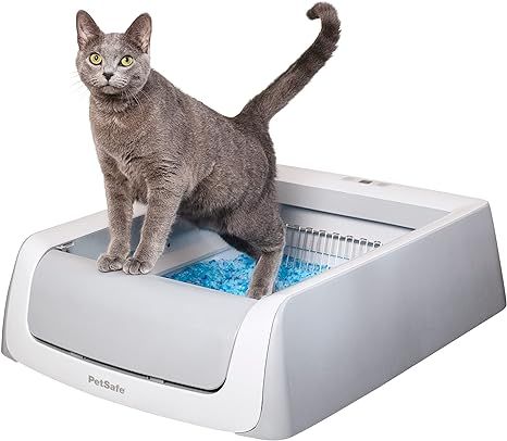 PetSafe ScoopFree Self Cleaning Cat Litter Box Systems - No More Scooping - 2nd Generation or Sma... | Amazon (US)