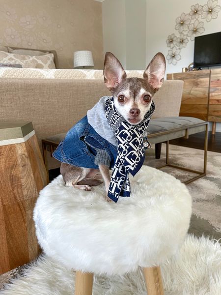 Dog outfit!

Dog clothes, dog sweater, dog jacket, jean jacket, dog scarf 

#LTKstyletip #LTKSeasonal #LTKunder50