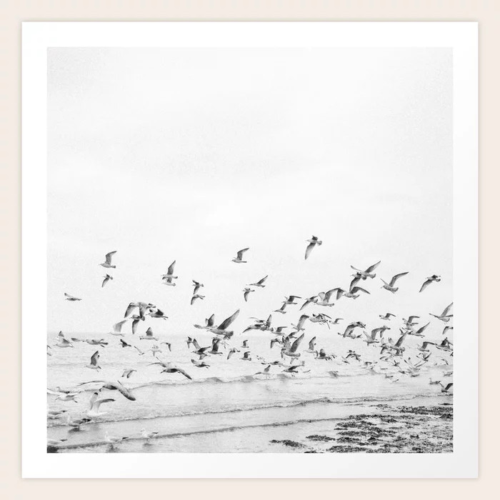 "Seagulls" | Coastal black and white photo | Film photography | Beach - square Art Print | Society6