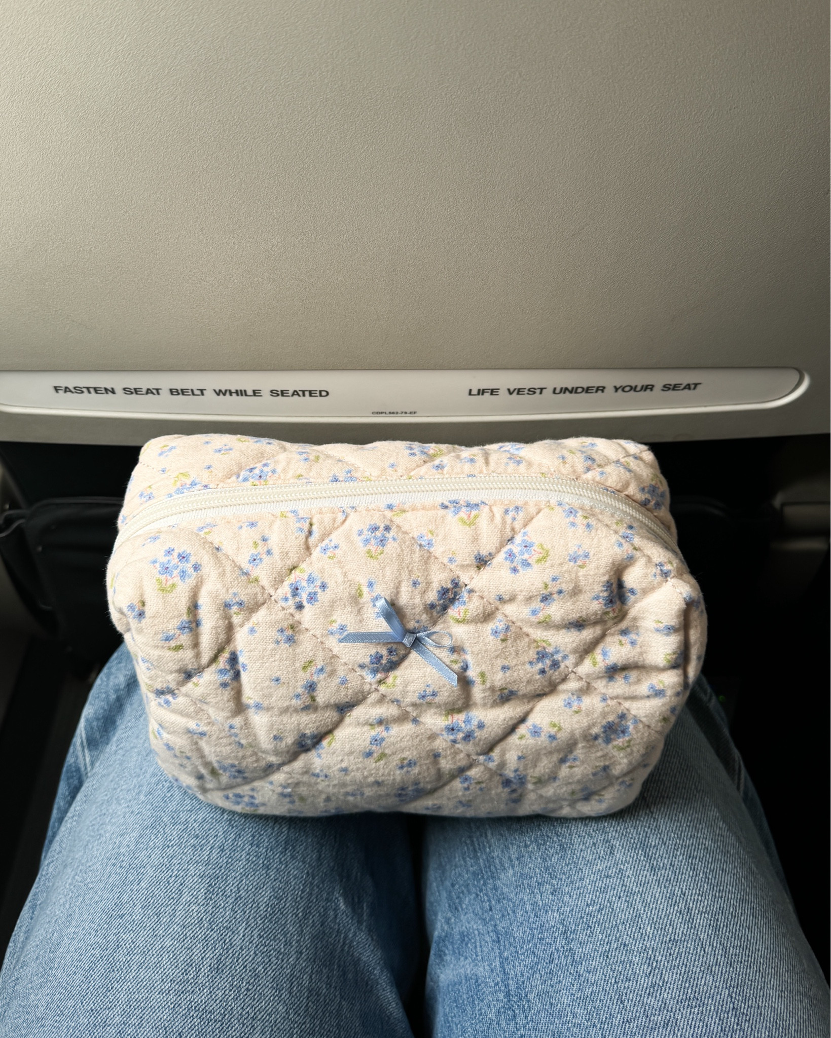 cute cosmetic bags 🤍

travel bags, makeup bags, floral pouch, makeup pouch, Amazon finds under $25

#LTKFindsUnder50