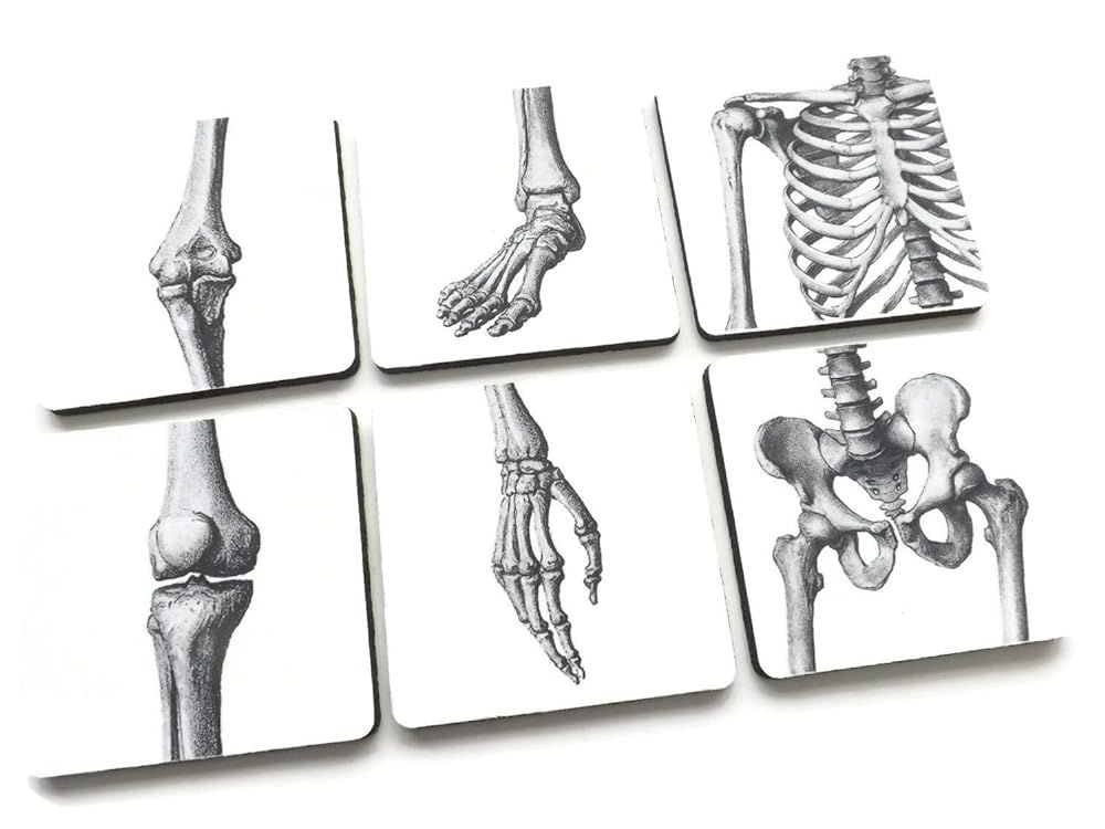 Joints Drink Coasters set of 4 or 6 Medical Graduation Gift Anatomy Nurse Physician Assistant Doc... | Amazon (US)