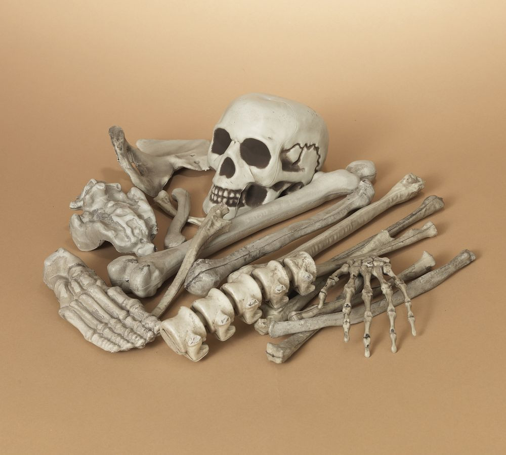 Decorative Skeleton Bones | Pottery Barn (US)