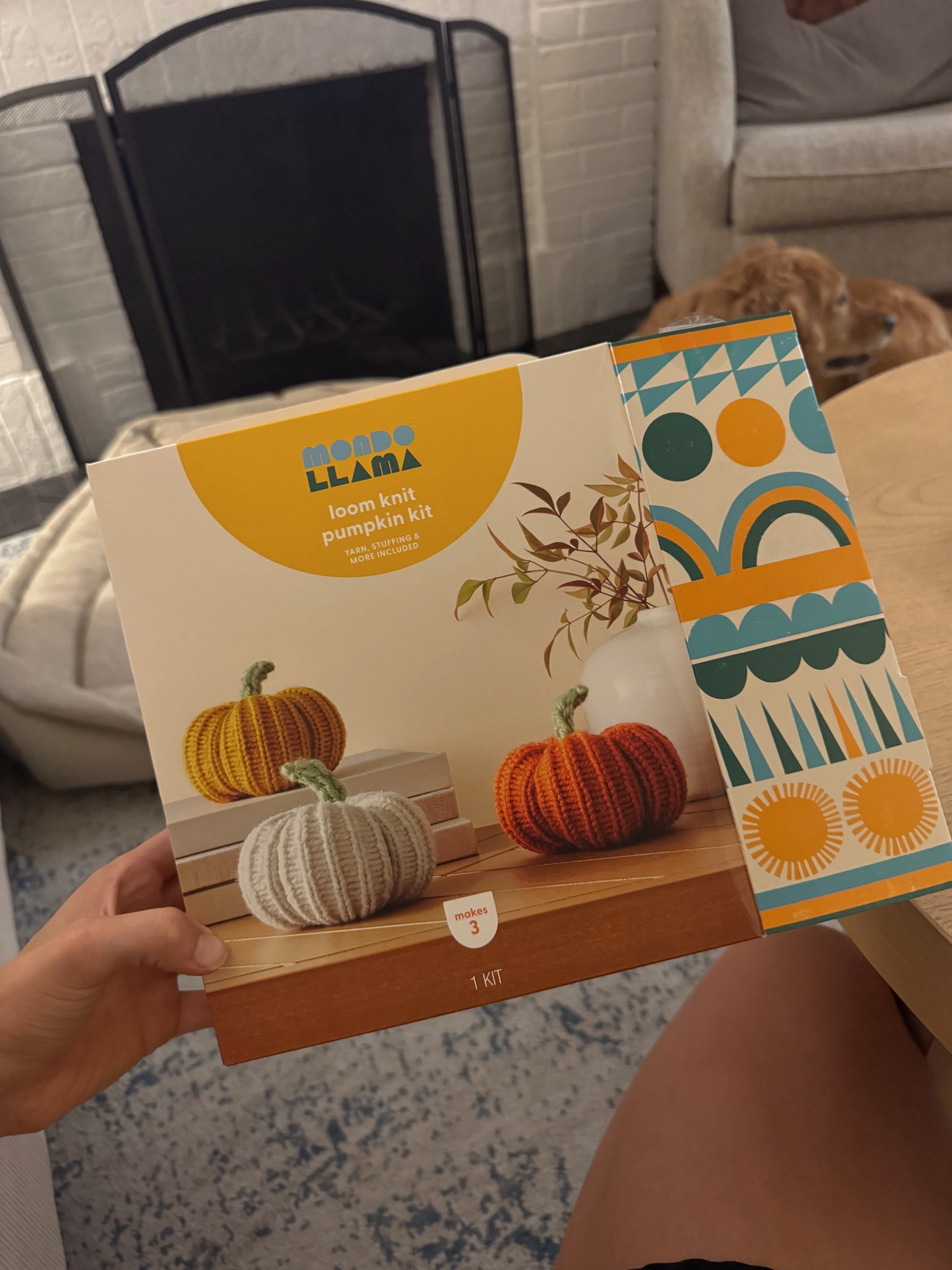 Target pumpkin knitting kit! For $15, you get to make 3 pumpkins and it comes with everything you need! 

#LTKSeasonal