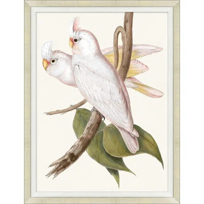 Cocatoo 3 - Painting | Wayfair North America