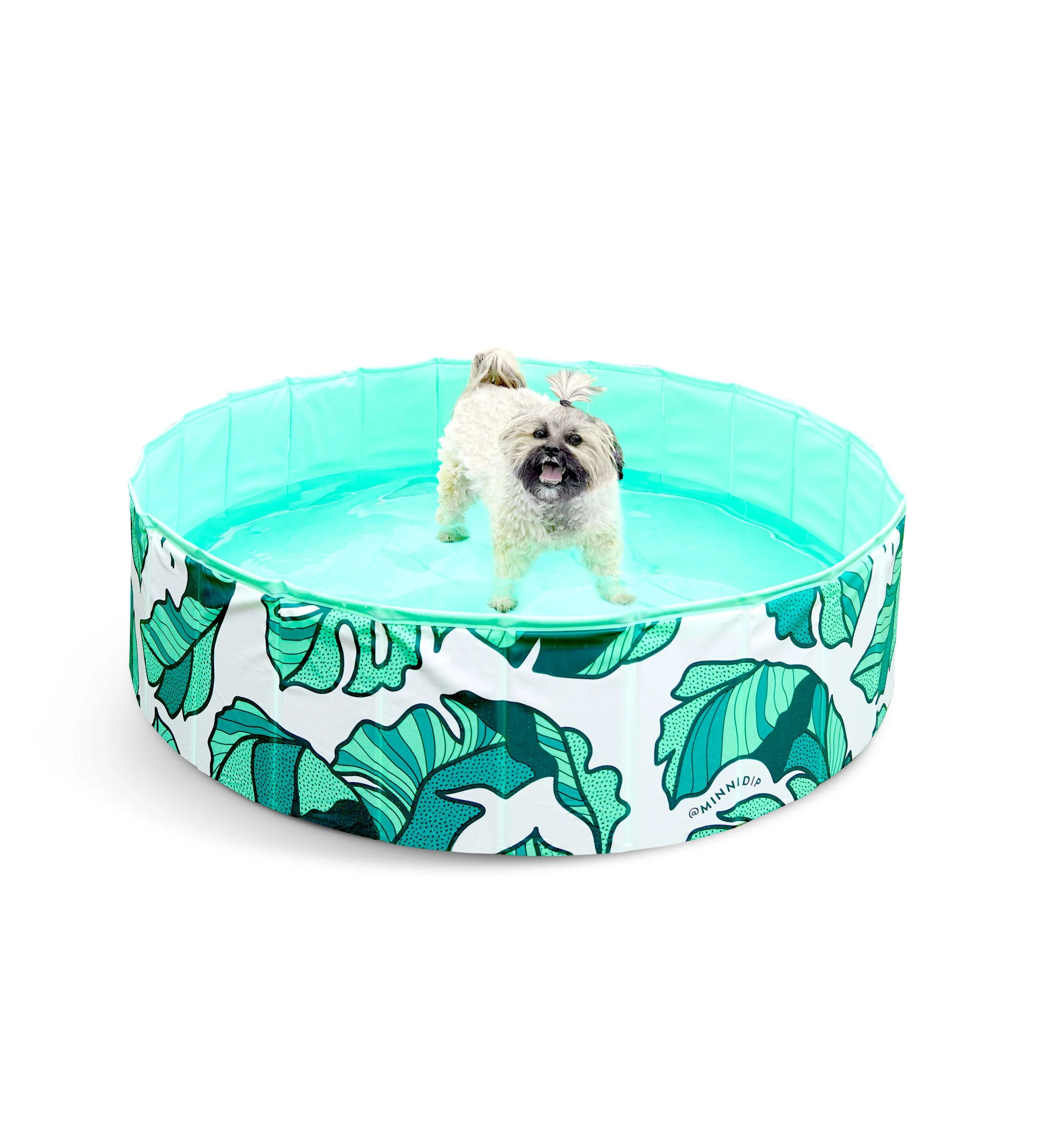 the THAT'S BANANA(LEAVE)S PUP DIP™ dog pool | Minnidip