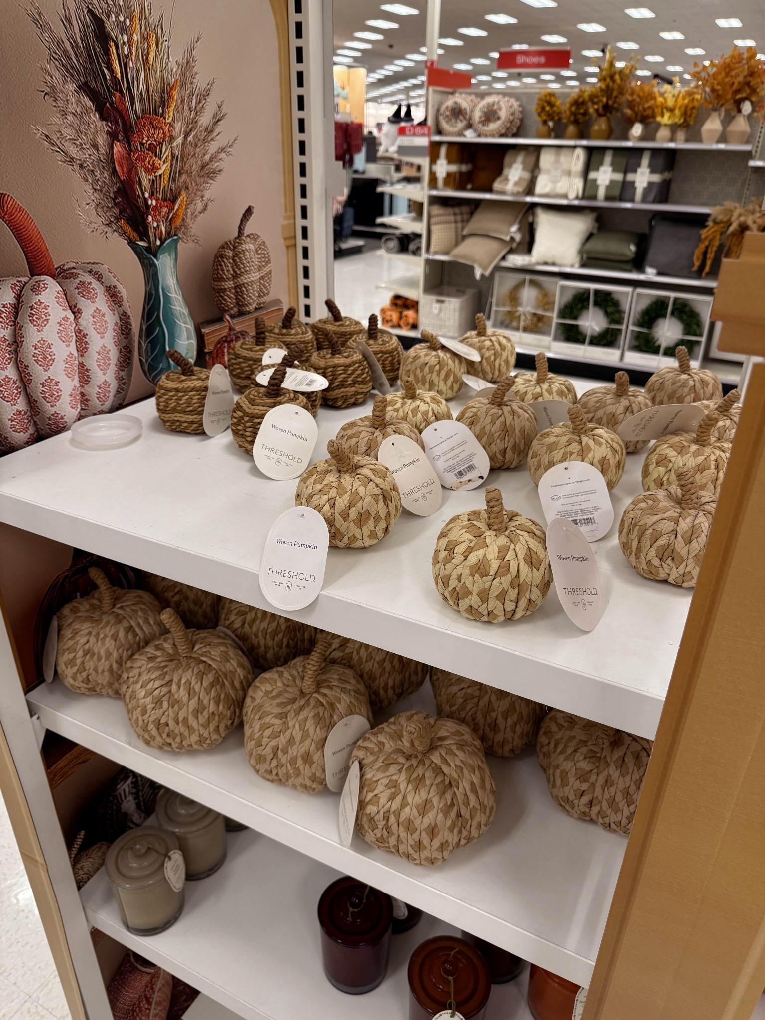 The world’s cutest decorative fall pumpkins! 🤎🎃 Had to grab! Small to large sizes!