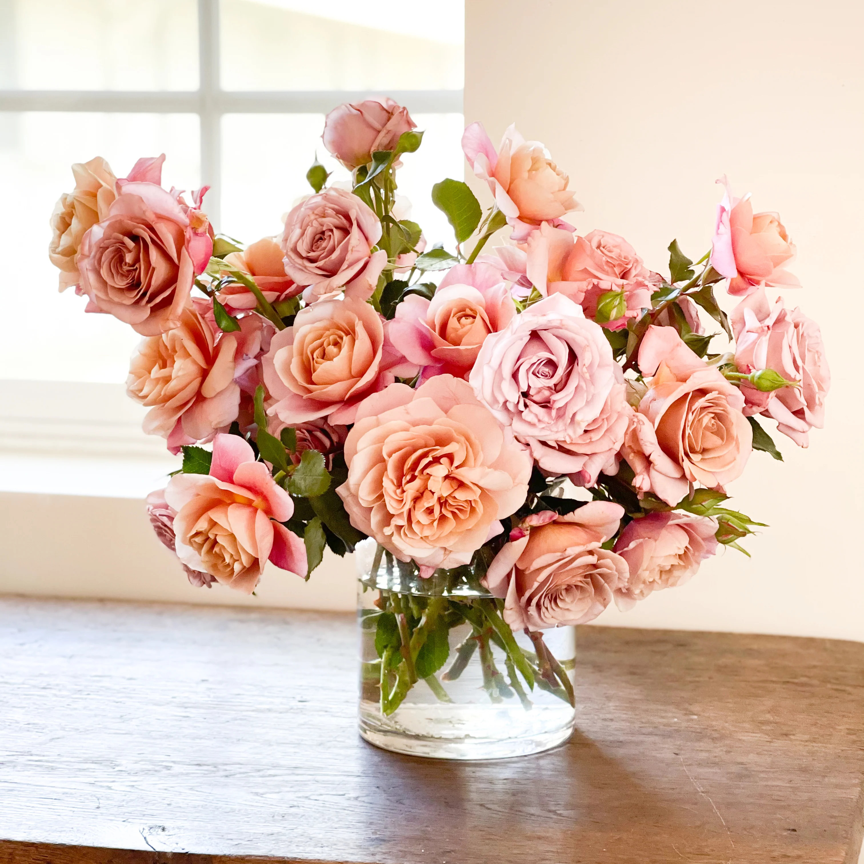 Jenny | grace rose farm