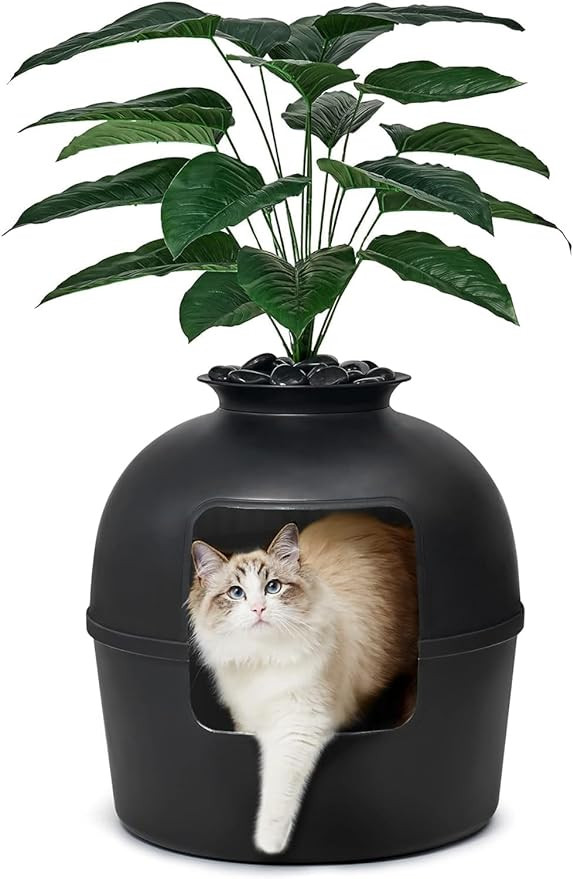Secret Litter Box by Bundle & Bliss - Hidden Litter Box Enclosure with Odor Control Carbon Filter... | Amazon (US)