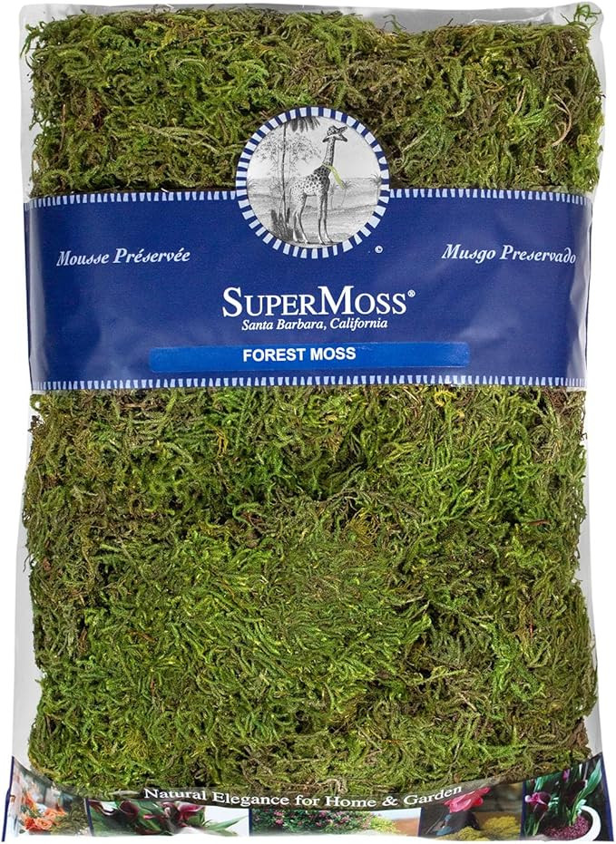 Amazon.com: SuperMoss (25323) Forest Moss Preserved - Long-Lasting Natural Moss for Indoor/Outdoo... | Amazon (US)