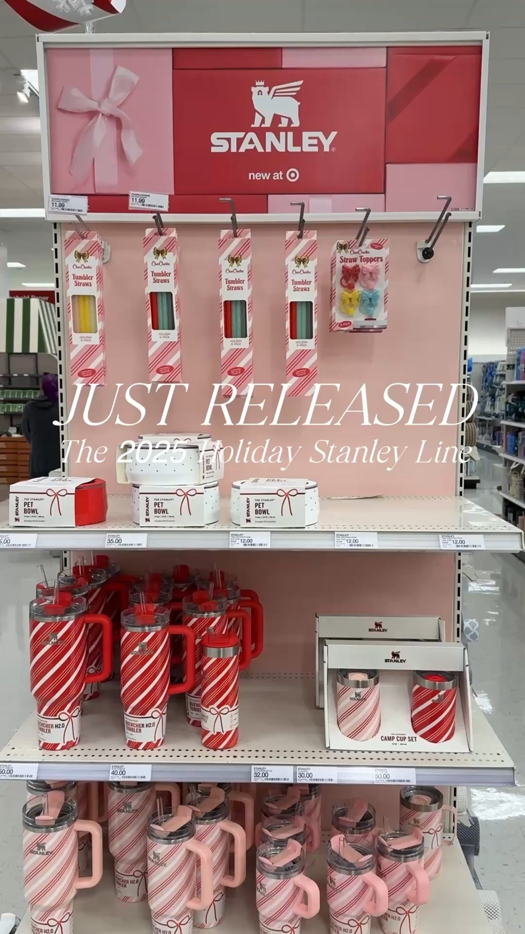 Stanley Holiday Collection JUST RELEASED at Target!! Christmas Stanley cups.

#LTKGiftGuide #LTKSeasonal #LTKHoliday