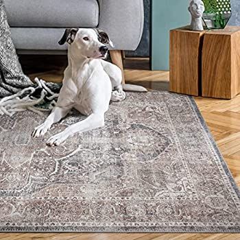 Adiva Rugs Machine Washable Water and Dirt Proof Area Rug for Living Room, Bedroom, Home Decor (B... | Amazon (US)